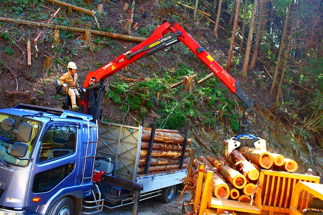 積み込み搬入　熊本県八代市　株式会社白石林業